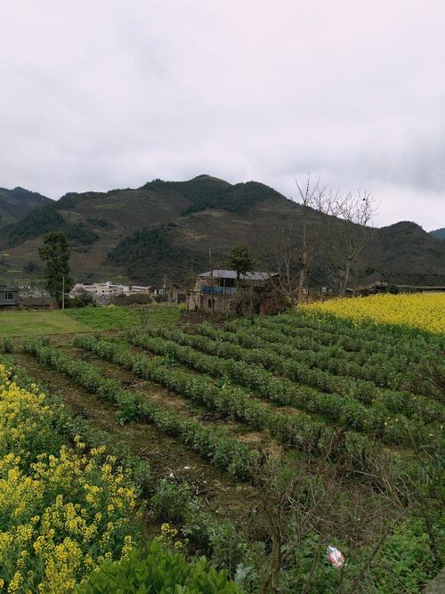 董岭乡天气预报更新通知