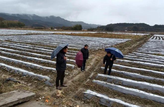 迳口镇天气预报更新通知