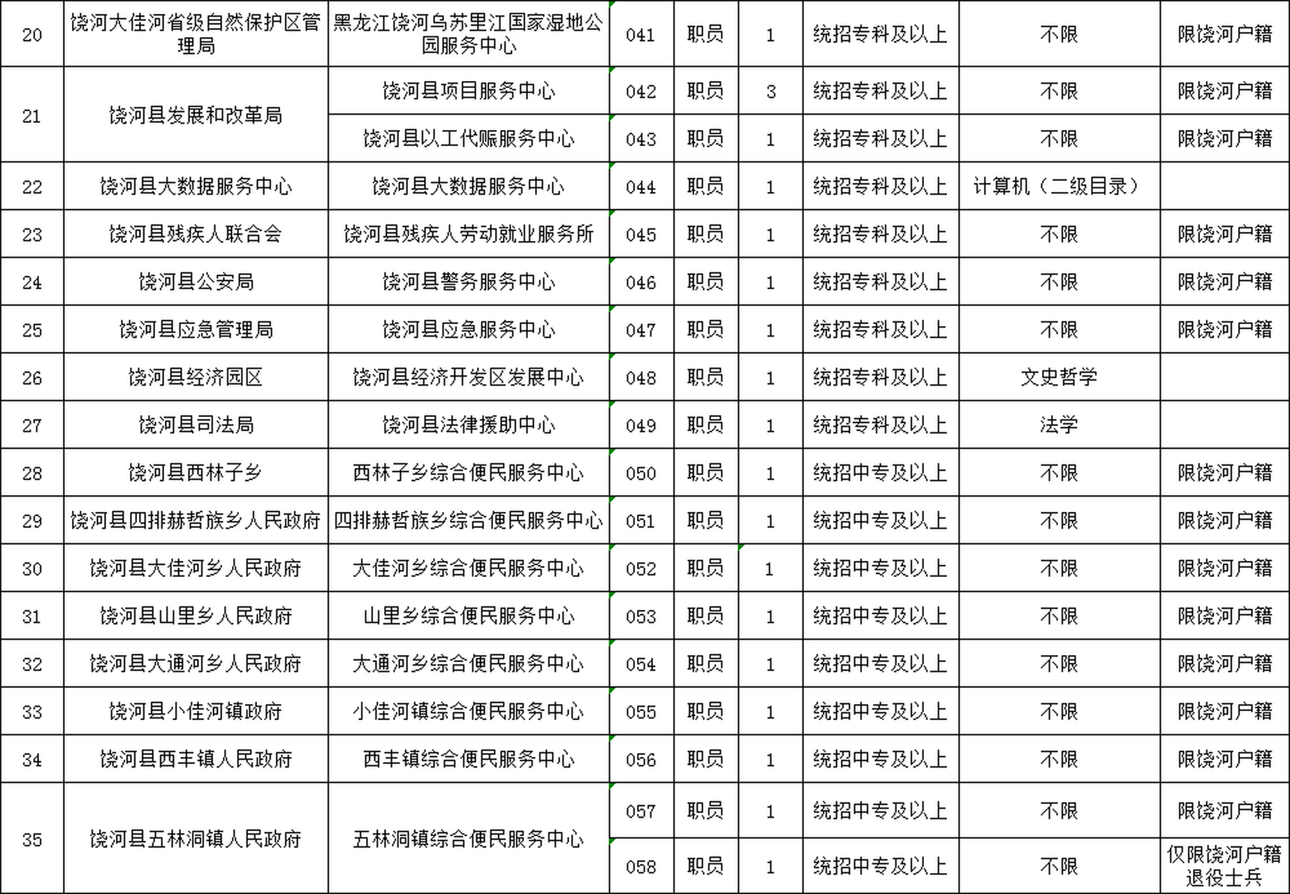 林甸县数据和政务服务局招聘启事概览