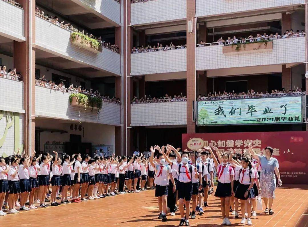 思明区小学最新新闻动态概览