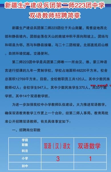 三台县小学最新招聘公告概览