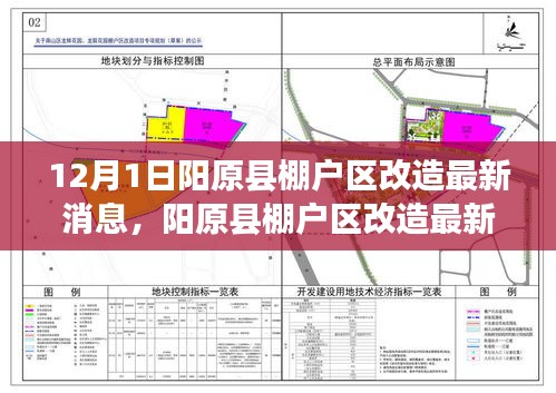 原阳县计生委最新发展规划展望