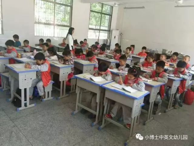 鸡东县小学最新招聘公告概览