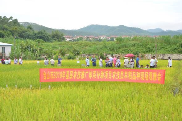 吴川市农业农村局新项目推动农业现代化，乡村振兴再添新动力