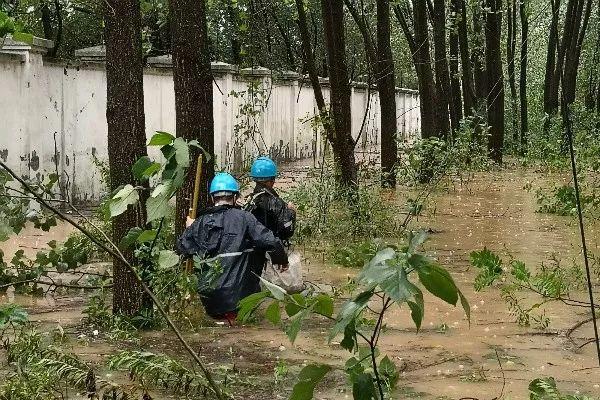 旌德县小学校长引领教育改革，塑造未来之光新篇章