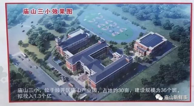 崇礼县小学发展规划概览